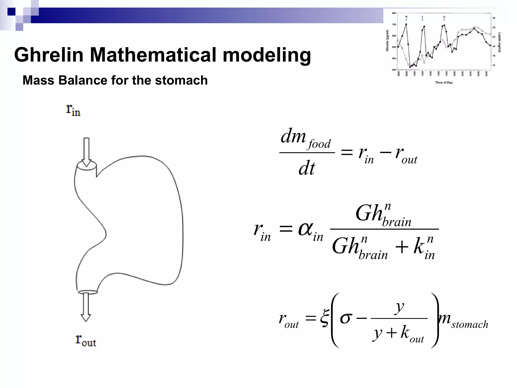 Mass Balance for the stomach
Ghrelin Mathematical modeling
outin
food
rr
dt
dm
−=
n
in
n
brain
n
brain
inin
kGh
Gh
r
+
= α
stomach
out
out m
ky
y
r 





+
−= σξ
 