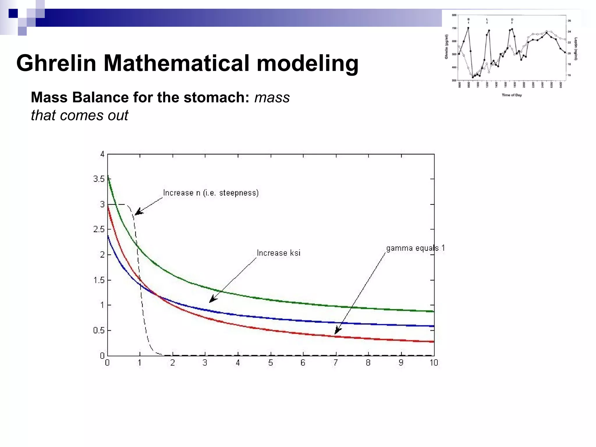 Ghrelin Mathematical modeling
Mass Balance for the stomach: mass
that comes out
 