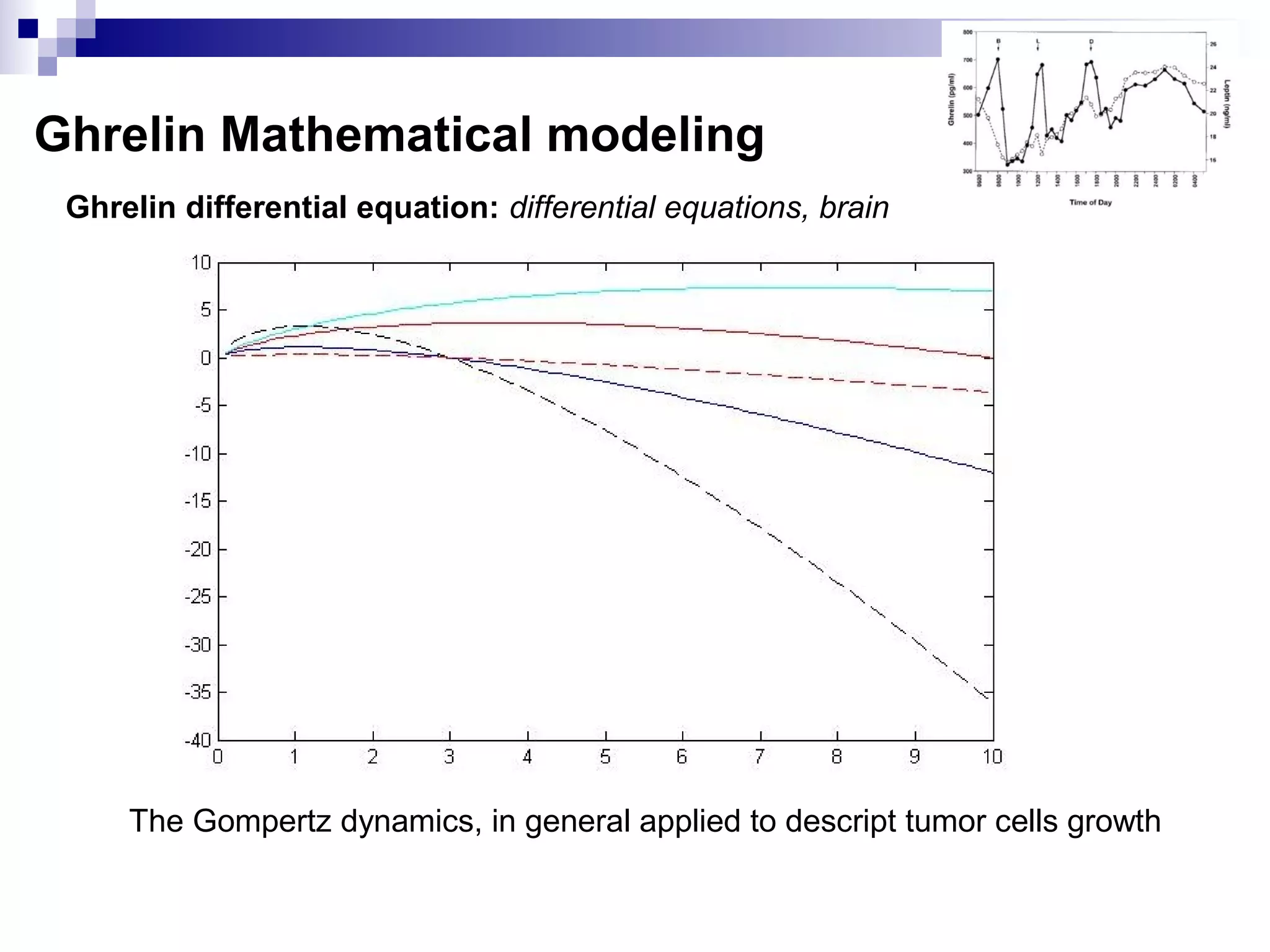 Ghrelin Mathematical modeling
Ghrelin differential equation: differential equations, brain
The Gompertz dynamics, in general applied to descript tumor cells growth
 