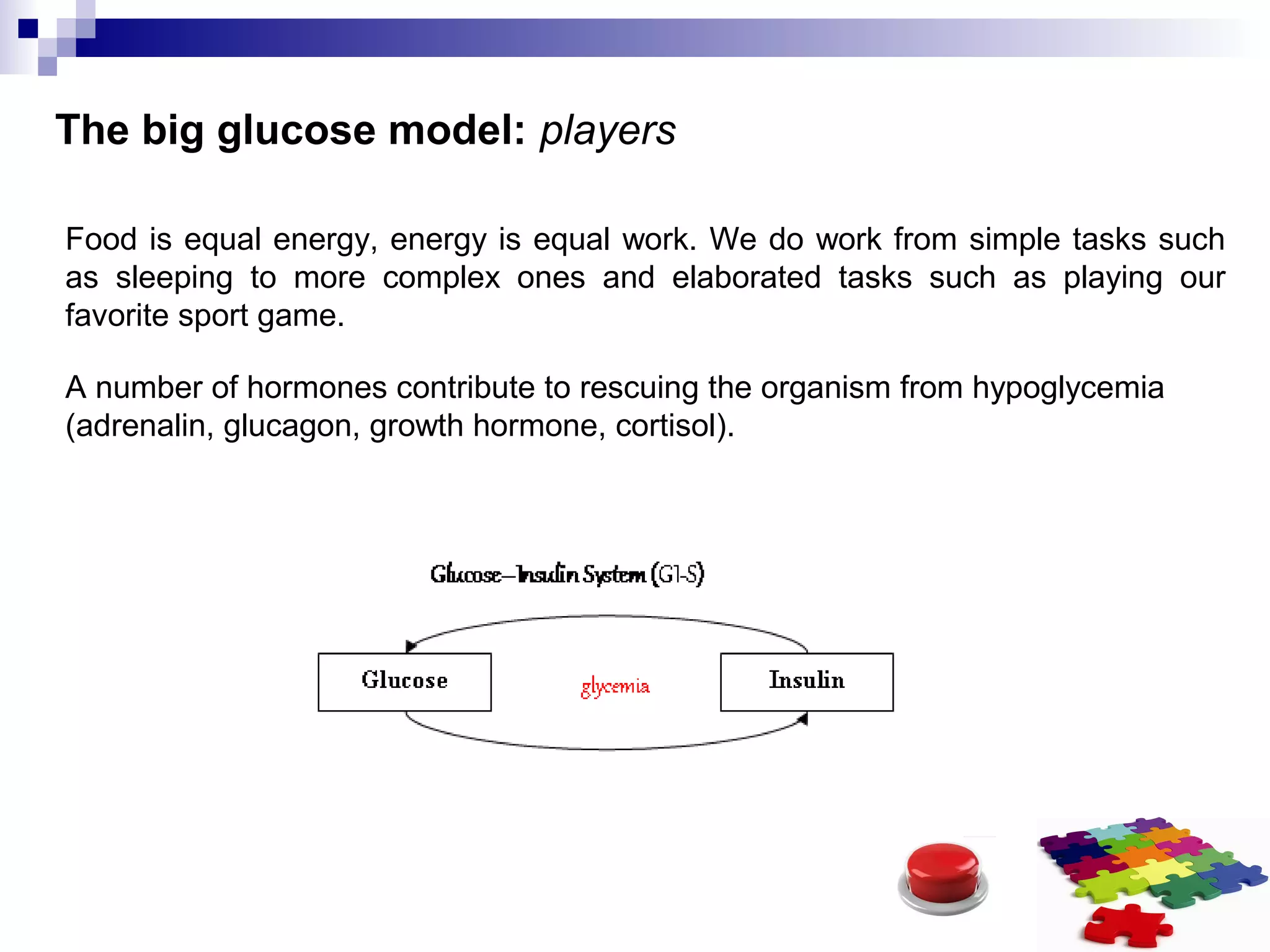 The big glucose model: players
Food is equal energy, energy is equal work. We do work from simple tasks such
as sleeping to more complex ones and elaborated tasks such as playing our
favorite sport game.
A number of hormones contribute to rescuing the organism from hypoglycemia
(adrenalin, glucagon, growth hormone, cortisol).
 