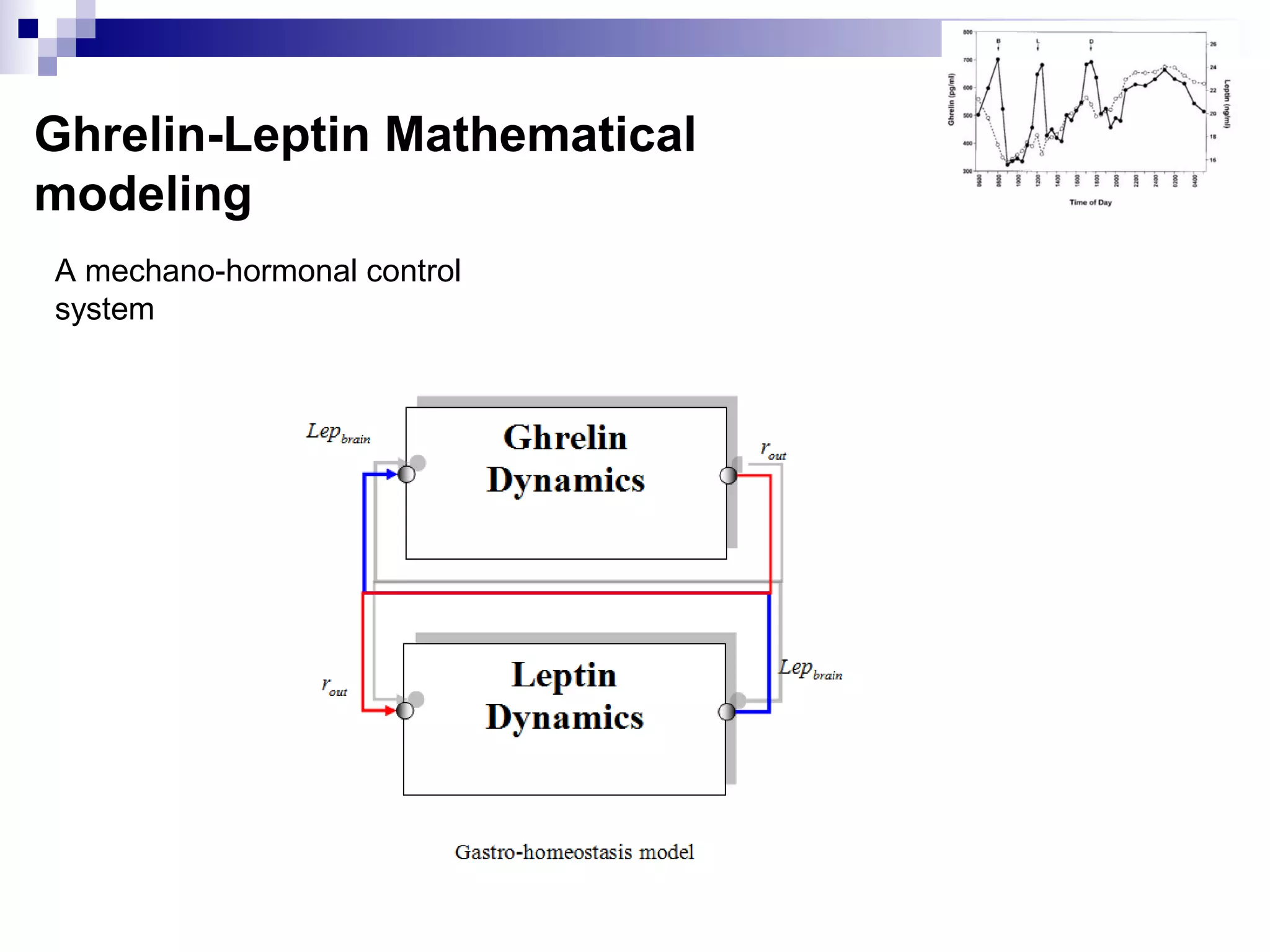 Ghrelin-Leptin Mathematical
modeling
A mechano-hormonal control
system
 