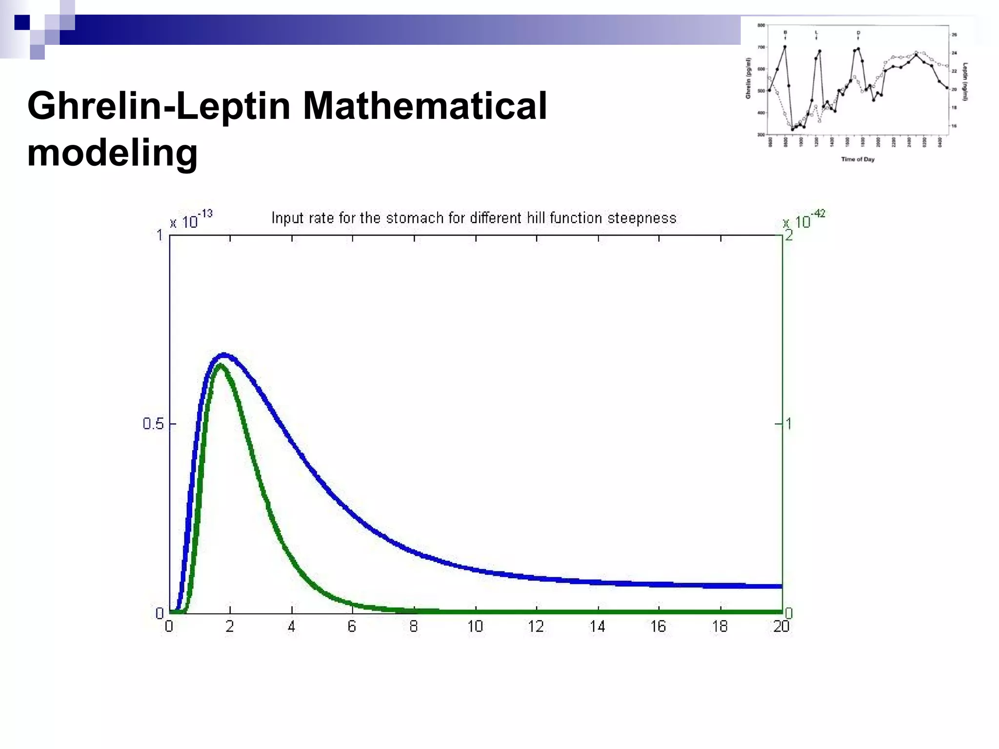 Ghrelin-Leptin Mathematical
modeling
 