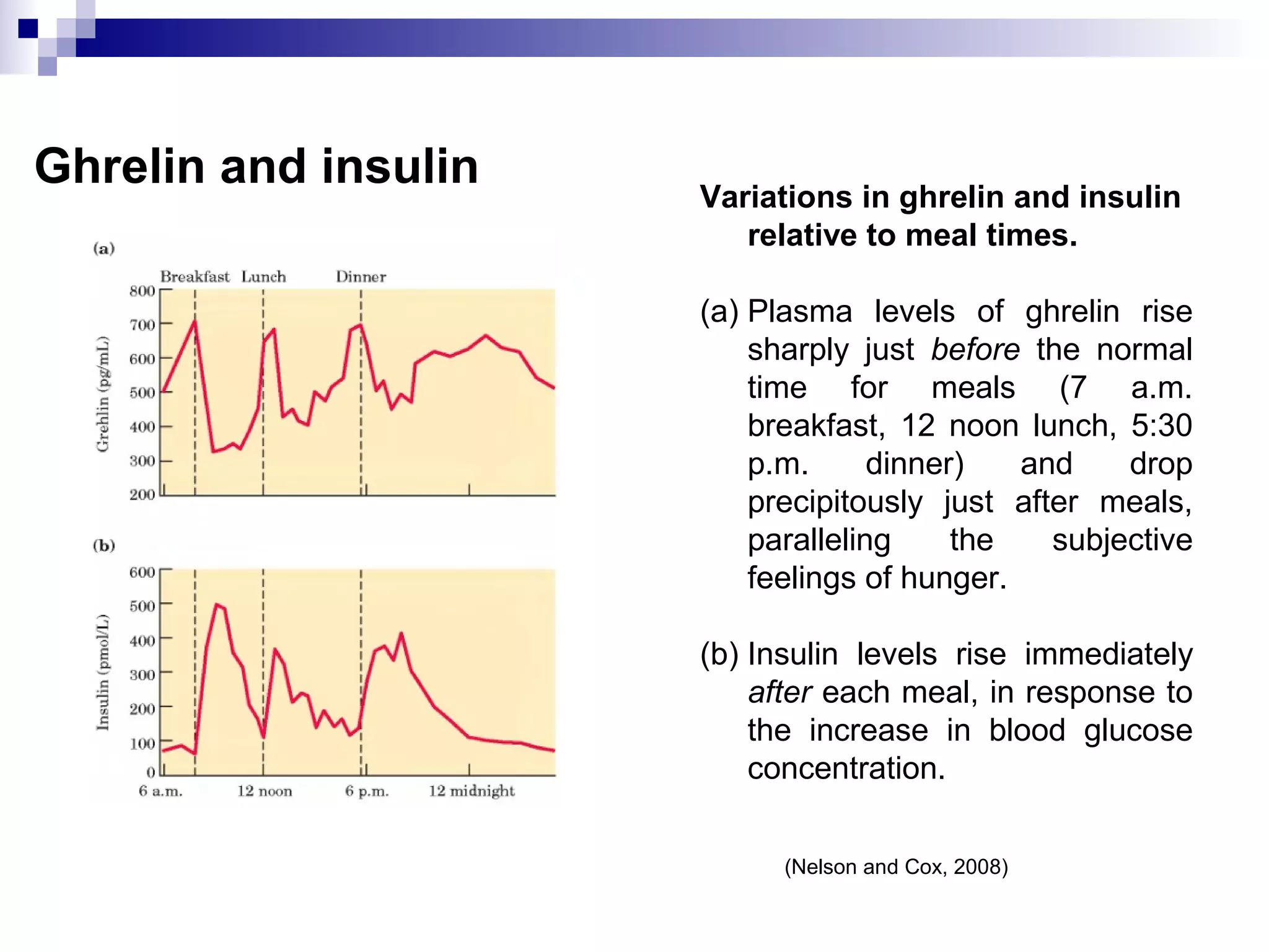 Ghrelin and insulin
Variations in ghrelin and insulin
relative to meal times.
(a) Plasma levels of ghrelin rise
sharply just before the normal
time for meals (7 a.m.
breakfast, 12 noon lunch, 5:30
p.m. dinner) and drop
precipitously just after meals,
paralleling the subjective
feelings of hunger.
(b) Insulin levels rise immediately
after each meal, in response to
the increase in blood glucose
concentration.
(Nelson and Cox, 2008)
 