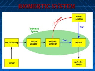 Bio matrix | PPT