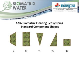 2016 Biomatrix Floating Ecosystems
Standard Component Shapes
z1 R1 T1 T2 S1
 