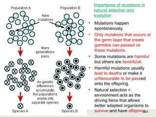 104Copyright © 2006-2011 Marshall Cavendish International (Singapore) Pte. Ltd.
Importance of mutations in
natural selection and
evolution
• Mutations happen
spontaneously.
• Only mutations that occurs at
the germ layer that create
gametes can passed on
these mutations.
• Some mutations are harmful
but others are beneficial.
• Harmful mutations usually
lead to deaths or make it
unfavourable to be passed
onto the offspring.
• Natural selection =
environment acts as the
driving force that allows
better adapted organisms to
survive and have offspring
 