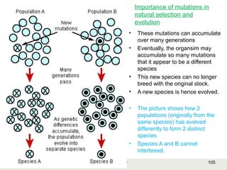 105Copyright © 2006-2011 Marshall Cavendish International (Singapore) Pte. Ltd.
Importance of mutations in
natural selection and
evolution
• These mutations can accumulate
over many generations
• Eventually, the organsim may
accumulate so many mutations
that it appear to be a different
species
• This new species can no longer
breed with the original stock.
• A new species is hence evolved.
• The picture shows how 2
populations (originally from the
same species) has evolved
differently to form 2 distinct
species
• Species A and B cannot
interbreed.
 