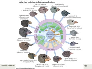 109Copyright © 2006-2011 Marshall Cavendish International (Singapore) Pte. Ltd.
 