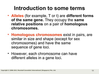 11Copyright © 2006-2011 Marshall Cavendish International (Singapore) Pte. Ltd.
• Alleles (for example, T or t) are different forms
of the same gene. They occupy the same
relative positions on a pair of homologous
chromosomes.
• Homologous chromosomes exist in pairs, are
similar in size and shape (except for sex
chromosomes) and have the same
sequence of gene loci.
• However, each chromosome can have
different alleles in a gene loci.
Introduction to some terms
 