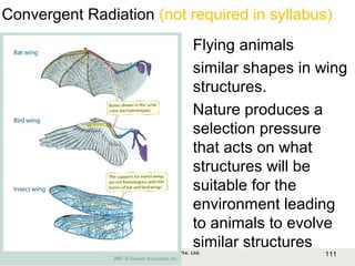 111Copyright © 2006-2011 Marshall Cavendish International (Singapore) Pte. Ltd.
Convergent Radiation (not required in syllabus)
Flying animals
similar shapes in wing
structures.
Nature produces a
selection pressure
that acts on what
structures will be
suitable for the
environment leading
to animals to evolve
similar structures
 
