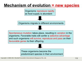 112Copyright © 2006-2011 Marshall Cavendish International (Singapore) Pte. Ltd.
Mechanism of evolution = new species
Organisms reproduce rapidly
as food supply is abundant
Spontaneous mutation takes place, resulting in variation in the
organisms. Favorable traits will confer a selective advantage
and such organisms will survive, reproduce and pass on their
favourable genes to their offspring.
These organisms become the
predominant species in their environment
Organisms migrate to different environments
 