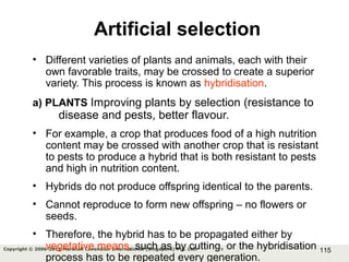 115Copyright © 2006-2011 Marshall Cavendish International (Singapore) Pte. Ltd.
Artificial selection
• Different varieties of plants and animals, each with their
own favorable traits, may be crossed to create a superior
variety. This process is known as hybridisation.
a) PLANTS Improving plants by selection (resistance to
disease and pests, better flavour.
• For example, a crop that produces food of a high nutrition
content may be crossed with another crop that is resistant
to pests to produce a hybrid that is both resistant to pests
and high in nutrition content.
• Hybrids do not produce offspring identical to the parents.
• Cannot reproduce to form new offspring – no flowers or
seeds.
• Therefore, the hybrid has to be propagated either by
vegetative means, such as by cutting, or the hybridisation
process has to be repeated every generation.
 