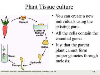 118Copyright © 2006-2011 Marshall Cavendish International (Singapore) Pte. Ltd.
Plant Tissue culture
• You can create a new
individuals using the
existing parts.
• All the cells contain the
essential genes
• Just that the parent
plant cannot form
proper gametes through
meiosis.
 