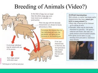 121Copyright © 2006-2011 Marshall Cavendish International (Singapore) Pte. Ltd.
Breeding of Animals (Video?)
 