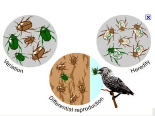 125Copyright © 2006-2011 Marshall Cavendish International (Singapore) Pte. Ltd.
 