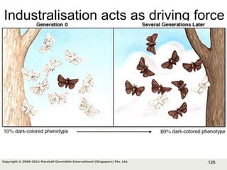 126Copyright © 2006-2011 Marshall Cavendish International (Singapore) Pte. Ltd.
Industralisation acts as driving force
 