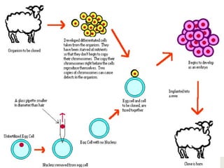131Copyright © 2006-2011 Marshall Cavendish International (Singapore) Pte. Ltd.
 