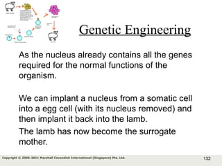 132Copyright © 2006-2011 Marshall Cavendish International (Singapore) Pte. Ltd.
Genetic Engineering
As the nucleus already contains all the genes
required for the normal functions of the
organism.
We can implant a nucleus from a somatic cell
into a egg cell (with its nucleus removed) and
then implant it back into the lamb.
The lamb has now become the surrogate
mother.
 
