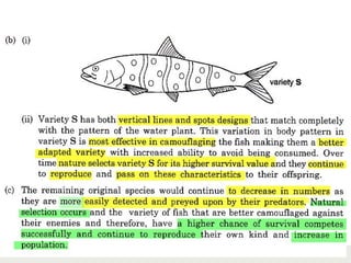 136Copyright © 2006-2011 Marshall Cavendish International (Singapore) Pte. Ltd.
 