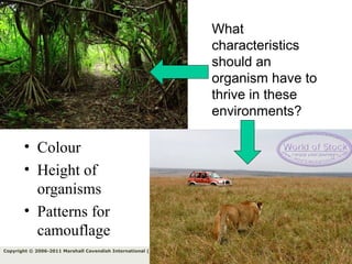 139Copyright © 2006-2011 Marshall Cavendish International (Singapore) Pte. Ltd.
What
characteristics
should an
organism have to
thrive in these
environments?
• Colour
• Height of
organisms
• Patterns for
camouflage
 