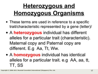 17Copyright © 2006-2011 Marshall Cavendish International (Singapore) Pte. Ltd.
Heterozygous and
Homozygous Organisms
• These terms are used in reference to a specific
trait/characteristic represented by a gene (letter)/
• A heterozygous individual has different
alleles for a particular trait (characteristic).
Maternal copy and Paternal copy are
different. E.g Aa, Tt, Ww.
• A homozygous individual has identical
alleles for a particular trait. e.g AA, aa, tt,
TT, SS
 