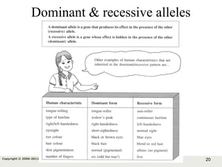 20Copyright © 2006-2011 Marshall Cavendish International (Singapore) Pte. Ltd.
Dominant & recessive alleles
 