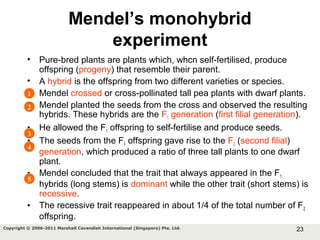 23Copyright © 2006-2011 Marshall Cavendish International (Singapore) Pte. Ltd.
Mendel’s monohybrid
experiment
• Pure-bred plants are plants which, whcn self-fertilised, produce
offspring (progeny) that resemble their parent.
• A hybrid is the offspring from two different varieties or species.
• Mendel crossed or cross-pollinated tall pea plants with dwarf plants.
• Mendel planted the seeds from the cross and observed the resulting
hybrids. These hybrids are the F1 generation (first filial generation).
• He allowed the F1 offspring to self-fertilise and produce seeds.
• The seeds from the F1 offspring gave rise to the F2 (second filial)
generation, which produced a ratio of three tall plants to one dwarf
plant.
• Mendel concluded that the trait that always appeared in the F1
hybrids (long stems) is dominant while the other trait (short stems) is
recessive.
• The recessive trait reappeared in about 1/4 of the total number of F2
offspring.
1
2
3
4
5
 