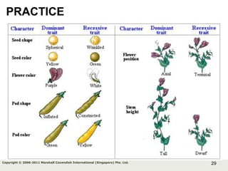 29Copyright © 2006-2011 Marshall Cavendish International (Singapore) Pte. Ltd.
PRACTICE
 