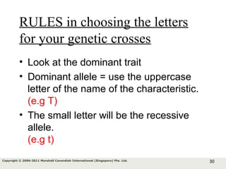 30Copyright © 2006-2011 Marshall Cavendish International (Singapore) Pte. Ltd.
RULES in choosing the letters
for your genetic crosses
• Look at the dominant trait
• Dominant allele = use the uppercase
letter of the name of the characteristic.
(e.g T)
• The small letter will be the recessive
allele.
(e.g t)
 