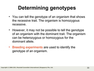 33Copyright © 2006-2011 Marshall Cavendish International (Singapore) Pte. Ltd.
Determining genotypes
• You can tell the genotype of an organism that shows
the recessive trait. The organism is homozygous
recessive.
• However, it may not be possible to tell the genotype
of an organism with the dominant trait. The organism
can be heterozygous or homozygous for the
dominant allele.
• Breeding experiments are used to identify the
genotype of an organism.
 