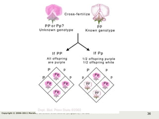 36Copyright © 2006-2011 Marshall Cavendish International (Singapore) Pte. Ltd.
 