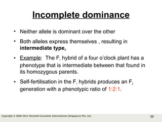 39Copyright © 2006-2011 Marshall Cavendish International (Singapore) Pte. Ltd.
Incomplete dominance
• Neither allele is dominant over the other
• Both alleles express themselves , resulting in
intermediate type.
• Example: The F1 hybrid of a four o’clock plant has a
phenotype that is intermediate between that found in
its homozygous parents.
• Self-fertilisation in the F1 hybrids produces an F2
generation with a phenotypic ratio of 1:2:1.
 