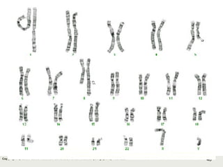 48Copyright © 2006-2011 Marshall Cavendish International (Singapore) Pte. Ltd.
 