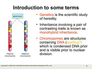 5Copyright © 2006-2011 Marshall Cavendish International (Singapore) Pte. Ltd.
Introduction to some terms
• Genetics is the scientific study
of heredity.
• Inheritance involving a pair of
contrasting traits is known as
monohybrid inheritance.
• Chromosomes are structures
containing DNA (spelling?)
which is condensed DNA prior
and is visible prior to nuclear
division.
gene locus
Paternal
chromosome
Maternal
chromosome
 