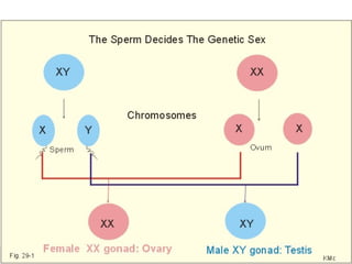55Copyright © 2006-2011 Marshall Cavendish International (Singapore) Pte. Ltd.
 