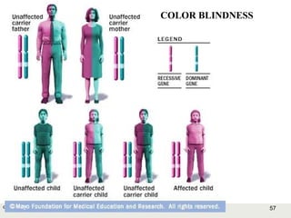 57Copyright © 2006-2011 Marshall Cavendish International (Singapore) Pte. Ltd.
COLOR BLINDNESS
 