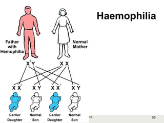 58Copyright © 2006-2011 Marshall Cavendish International (Singapore) Pte. Ltd.
Haemophilia
 