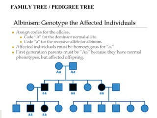 61Copyright © 2006-2011 Marshall Cavendish International (Singapore) Pte. Ltd.
FAMILY TREE / PEDIGREE TREE
 