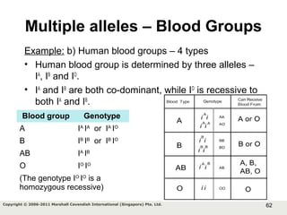 62Copyright © 2006-2011 Marshall Cavendish International (Singapore) Pte. Ltd.
Example: b) Human blood groups – 4 types
• Human blood group is determined by three alleles –
IA
, IB
and IO
.
• IA
and IB
are both co-dominant, while IO
is recessive to
both IA
and IB
.
Multiple alleles – Blood Groups
Blood group Genotype
A IA
IA
or IA
IO
B IB
IB
or IB
IO
AB IA
IB
O IO
IO
(The genotype IO
IO
is a
homozygous recessive)
 