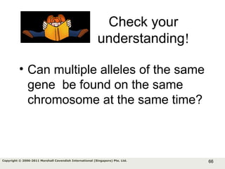 66Copyright © 2006-2011 Marshall Cavendish International (Singapore) Pte. Ltd.
Check your
understanding!
• Can multiple alleles of the same
gene be found on the same
chromosome at the same time?
 