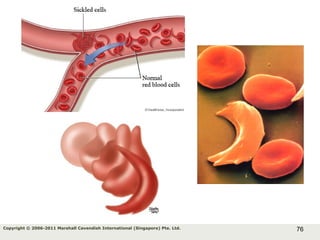 76Copyright © 2006-2011 Marshall Cavendish International (Singapore) Pte. Ltd.
 