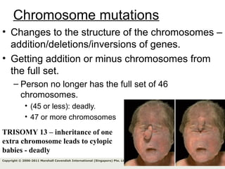 85Copyright © 2006-2011 Marshall Cavendish International (Singapore) Pte. Ltd.
Chromosome mutations
• Changes to the structure of the chromosomes –
addition/deletions/inversions of genes.
• Getting addition or minus chromosomes from
the full set.
– Person no longer has the full set of 46
chromosomes.
• (45 or less): deadly.
• 47 or more chromosomes
TRISOMY 13 – inheritance of one
extra chromosome leads to cylopic
babies - deadly
 