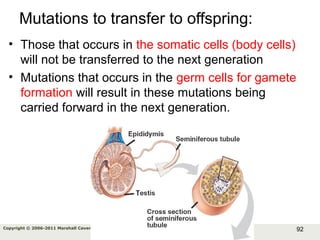 92Copyright © 2006-2011 Marshall Cavendish International (Singapore) Pte. Ltd.
Mutations to transfer to offspring:
• Those that occurs in the somatic cells (body cells)
will not be transferred to the next generation
• Mutations that occurs in the germ cells for gamete
formation will result in these mutations being
carried forward in the next generation.
 