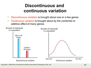 97Copyright © 2006-2011 Marshall Cavendish International (Singapore) Pte. Ltd.
• Discontinuous variation is brought about one or a few genes.
• Continuous variation is brought about by the combined or
additive effect of many genes.
Discontinuous and
continuous variation
Number of individuals
in a population
able to roll
tongue
unable to
roll tongue
Discontinuous variation
Number of individuals
in a population
Continuous variation
Dark skin Fair skin
 