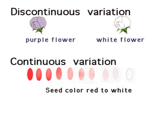 99Copyright © 2006-2011 Marshall Cavendish International (Singapore) Pte. Ltd.
 