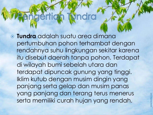 Bioma Tundra