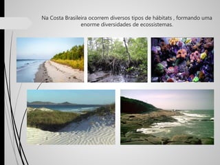 Na Costa Brasileira ocorrem diversos tipos de hábitats , formando uma
enorme diversidades de ecossistemas.
 