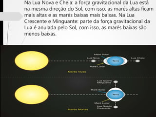Na Lua Nova e Cheia: a força gravitacional da Lua está
na mesma direção do Sol, com isso, as marés altas ficam
mais altas e as marés baixas mais baixas. Na Lua
Crescente e Minguante: parte da força gravitacional da
Lua é anulada pelo Sol, com isso, as marés baixas são
menos baixas.
 