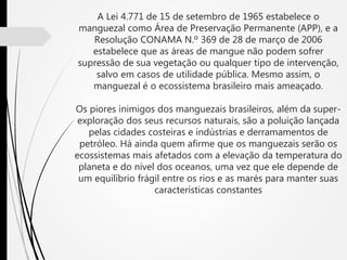 A Lei 4.771 de 15 de setembro de 1965 estabelece o
manguezal como Área de Preservação Permanente (APP), e a
Resolução CONAMA N.º 369 de 28 de março de 2006
estabelece que as áreas de mangue não podem sofrer
supressão de sua vegetação ou qualquer tipo de intervenção,
salvo em casos de utilidade pública. Mesmo assim, o
manguezal é o ecossistema brasileiro mais ameaçado.
Os piores inimigos dos manguezais brasileiros, além da super-
exploração dos seus recursos naturais, são a poluição lançada
pelas cidades costeiras e indústrias e derramamentos de
petróleo. Há ainda quem afirme que os manguezais serão os
ecossistemas mais afetados com a elevação da temperatura do
planeta e do nível dos oceanos, uma vez que ele depende de
um equilíbrio frágil entre os rios e as marés para manter suas
características constantes
 