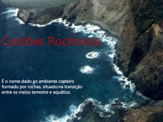 Costões Rochosos
É o nome dado ao ambiente costeiro
formado por rochas, situado na transição
entre os meios terrestre e aquático.
 